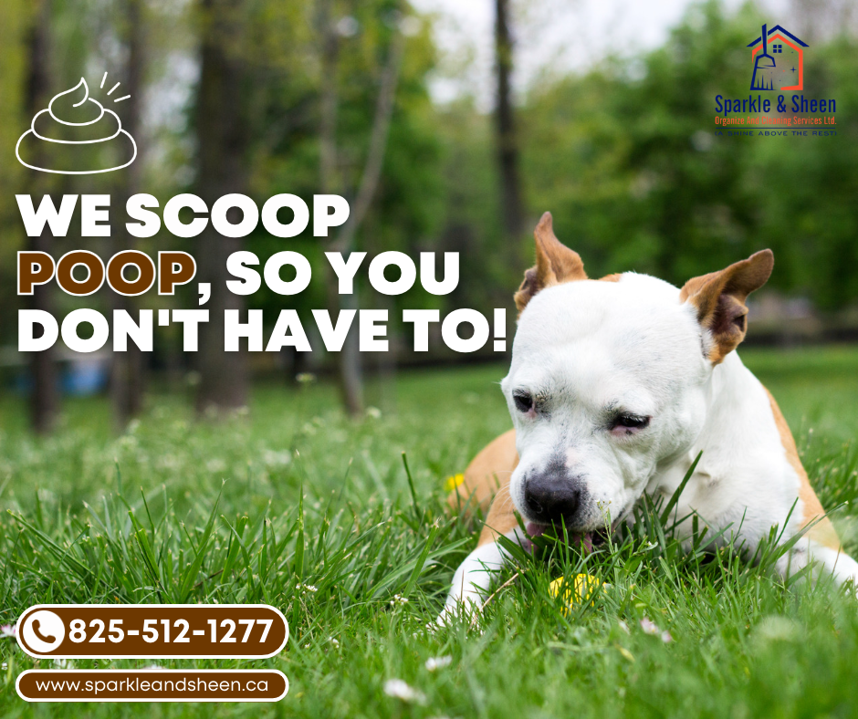 Benefits of hiring professional dog waste removal