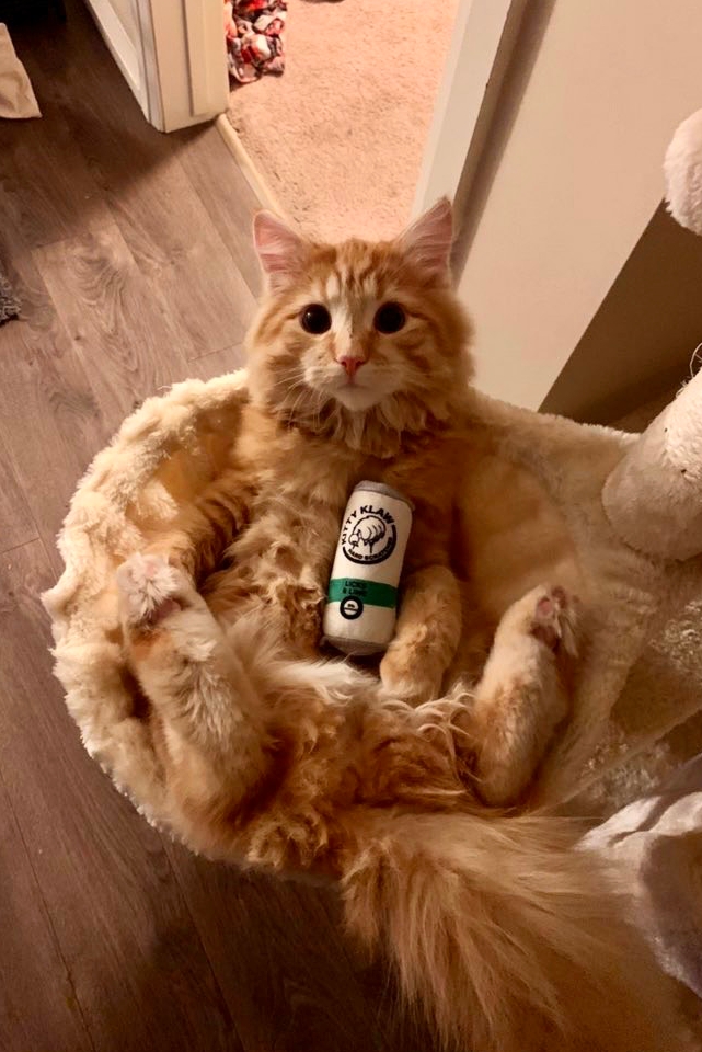 Apollo