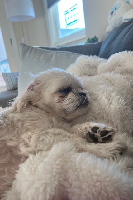 Mia